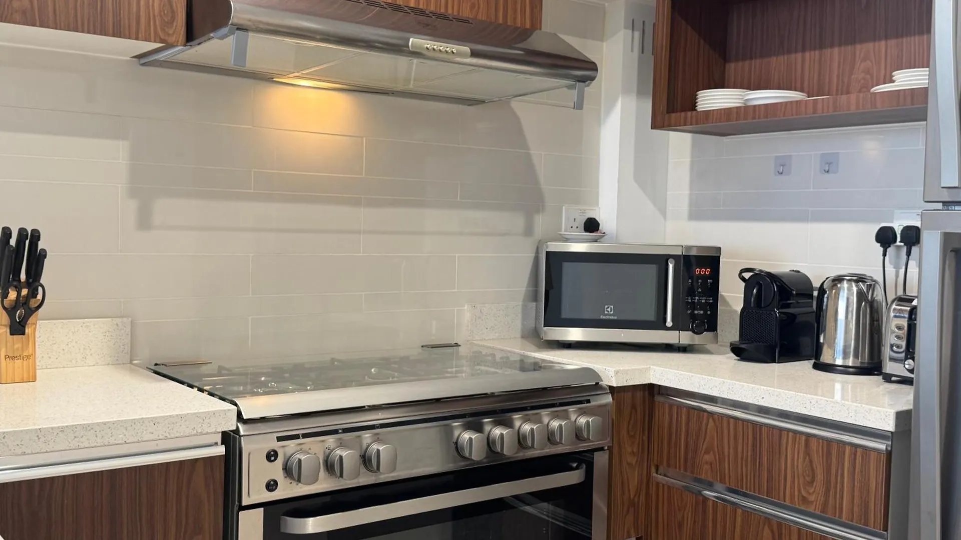 Apartment Ashri Luxe Spacious Apt Near Metro, Dubai Frame
